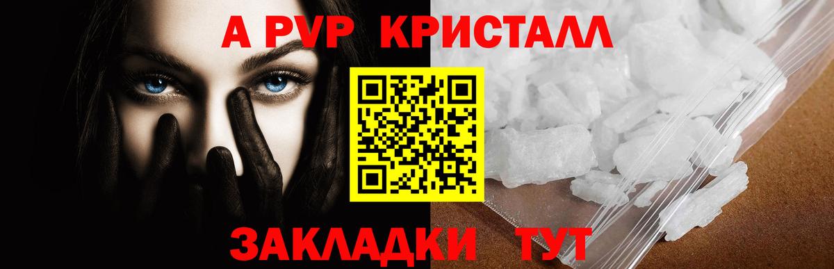 APVP СК КРИС Аша
